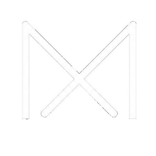 New World Project LLC